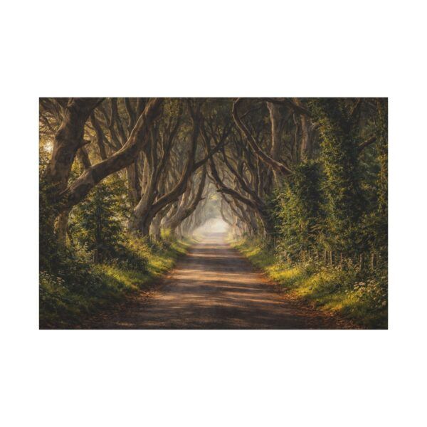 The Dark Hedges - Canvas Wall Art - Landscape Matte Stretched Canvas