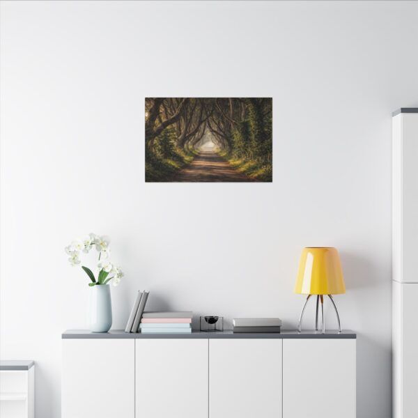 The Dark Hedges - Canvas Wall Art - Landscape Matte Stretched Canvas