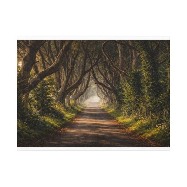 The Dark Hedges - Canvas Wall Art - Landscape Matte Stretched Canvas