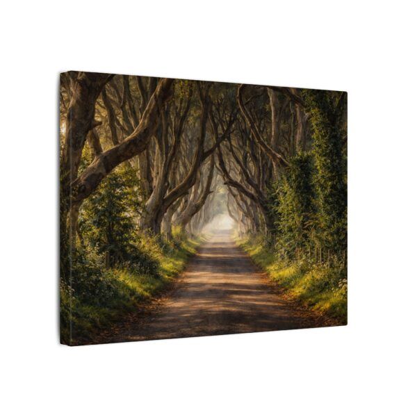 The Dark Hedges - Canvas Wall Art - Landscape Matte Stretched Canvas