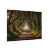The Dark Hedges - Canvas Wall Art - Landscape Matte Stretched Canvas