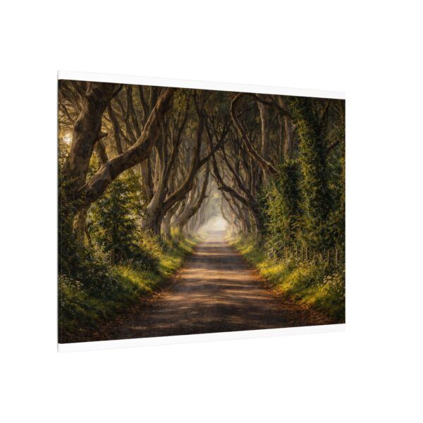 The Dark Hedges - Canvas Wall Art - Landscape Matte Stretched Canvas