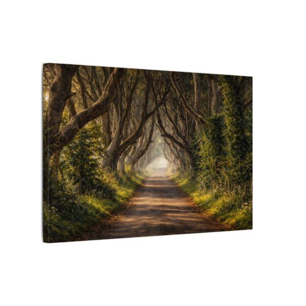 The Dark Hedges - Canvas Wall Art - Landscape Matte Stretched Canvas