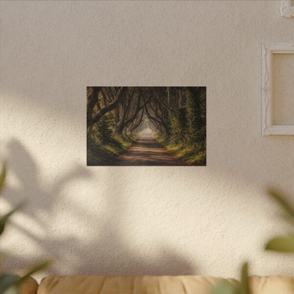 The Dark Hedges - Canvas Wall Art - Landscape Matte Stretched Canvas