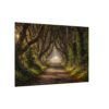 The Dark Hedges - Canvas Wall Art - Landscape Matte Stretched Canvas