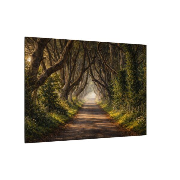 The Dark Hedges - Canvas Wall Art - Landscape Matte Stretched Canvas