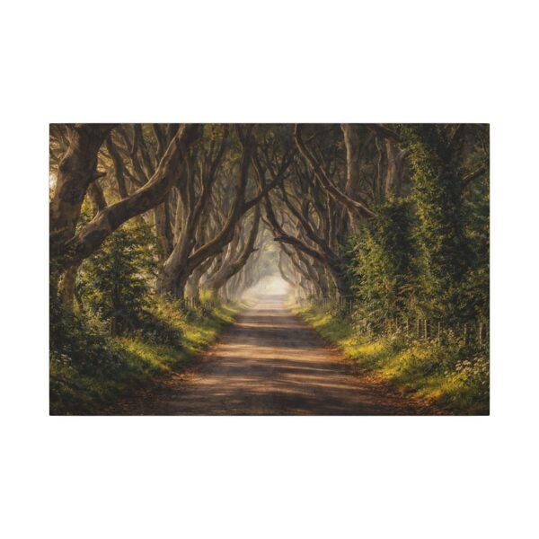 The Dark Hedges - Canvas Wall Art - Landscape Matte Stretched Canvas