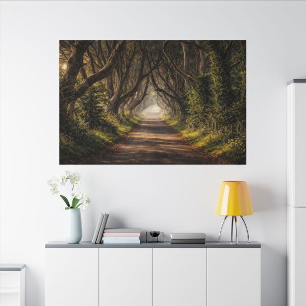 The Dark Hedges - Canvas Wall Art - Landscape Matte Stretched Canvas